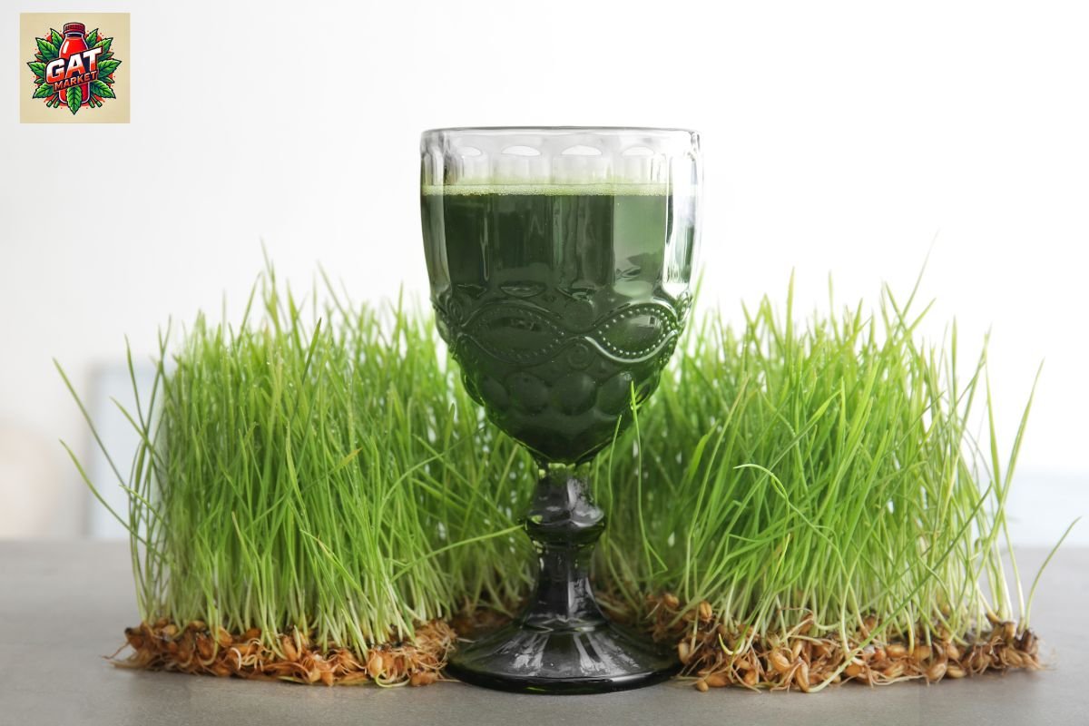 מיץ גת בני ברק